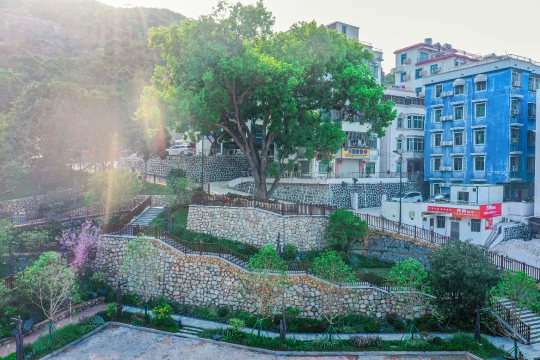 1735803682520682.jpg 10.jpg