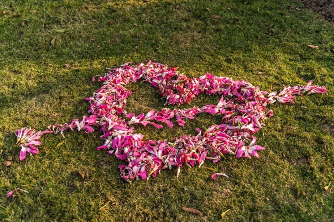 1735868667754275.jpg 1.jpg