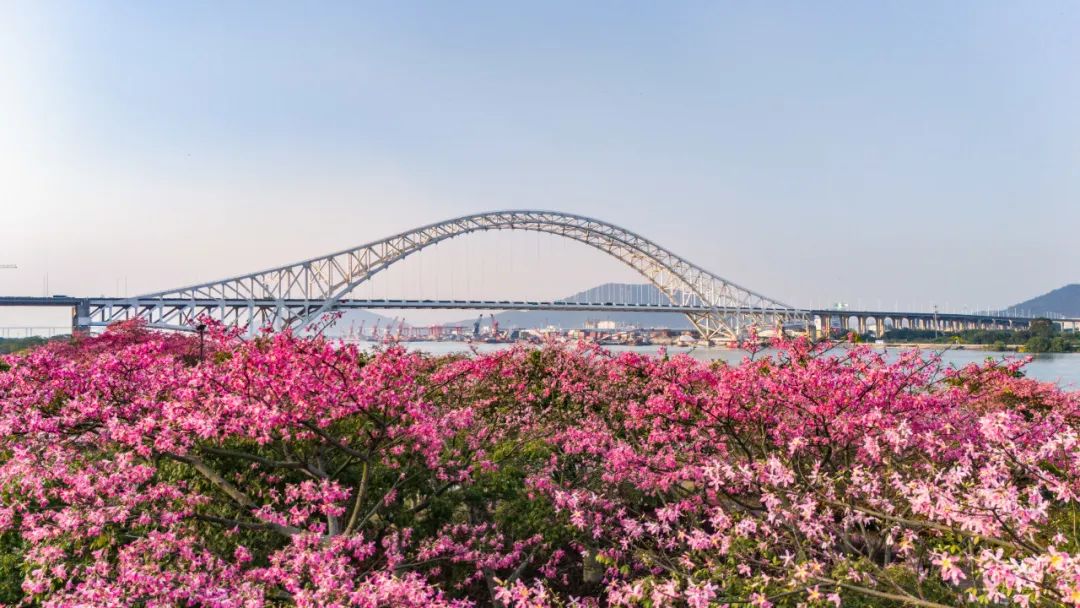 1735868698717851.jpg 2.jpg